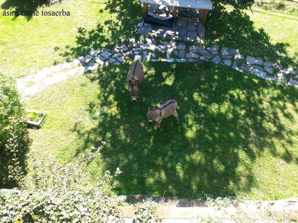 Il Borgo Della Colomba Villa Fosdinovo Eksteriør bilde